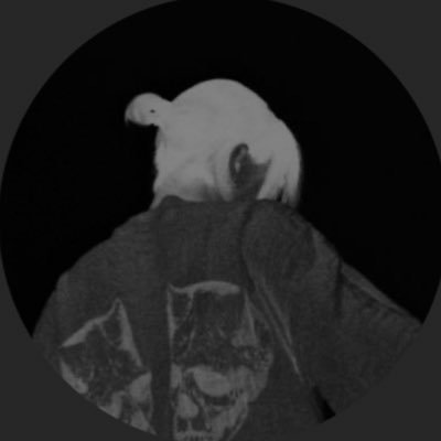 rylee's profile picture