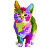 Catmother🐱 profil fotoğrafı