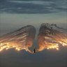 Angel Malo profil fotoğrafı