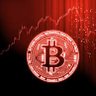 CryptoTig 📈 profil fotoğrafı