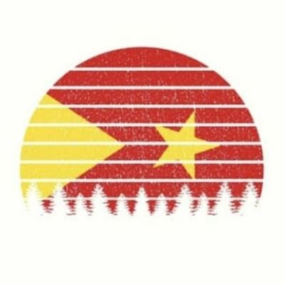 TigrayUpdate's profile picture