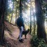 Jbear profil fotoğrafı