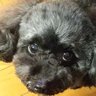 T.OOTAKE profil fotoğrafı