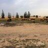 Hadi Idris profil fotoğrafı