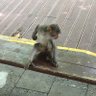 乐乐 的头像