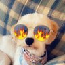 Profilbild von HofSeven