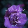 الهيبة's profile picture