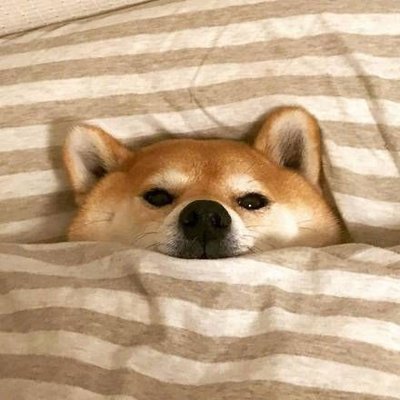 昊辰's profile picture