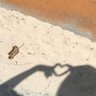 m🧚♀️m's profile picture