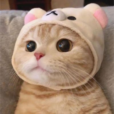 Feel Better ❤️'s profile picture