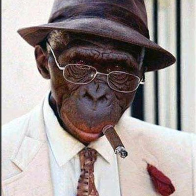 Kapheros's profile picture