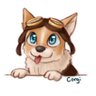 Corgi's profile picture