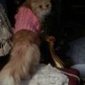 Фото профиля aliaa.zaz1@gmail.com