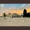 الحمدلله رب العالمين's profile picture