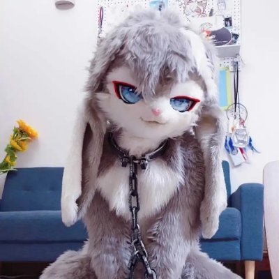 寒尹月's profile picture