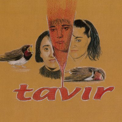 tavirdergisi's profile picture
