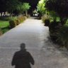 فارس profil fotoğrafı