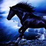 ナインテイルズ🐎's profile picture