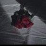 Фото профиля ابتسام