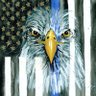 Фото профиля Mike L 🇺🇸 🇺🇦 🇮🇱