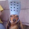 Crocs 的头像