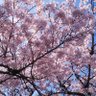 たかゆき 的头像