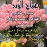 Фото профиля محمد.مهدي