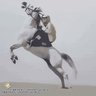 بعيد ال_هقاوي✨✨ 的头像