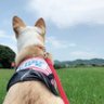 Profilbild von aiska