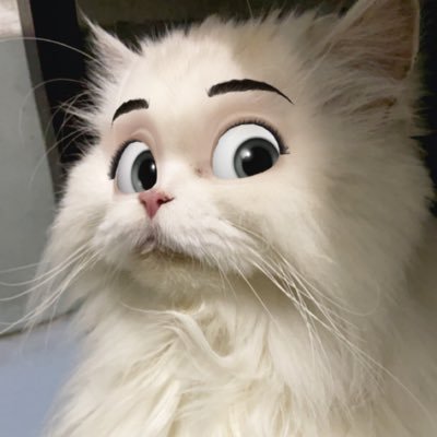 RetweetNCTU's profile picture