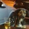 kassio's profile picture