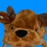 buck. profil fotoğrafı