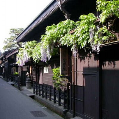hidatakayama1's profile picture