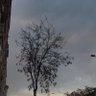 Фото профиля طلال العمري