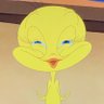 Profilbild von tweety