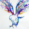 Фото профиля 空森クロ