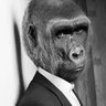Profilbild von Milkhuman