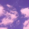 Sky Purple profil fotoğrafı