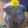 Profilbild von Me