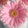 Фото профиля شعاع الشمس 2012