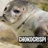 Foca Fachera's profile picture