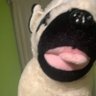 Profilbild von krubbis