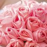 Фото профиля Resplendent Rose