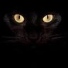 Qbaidu's profile picture