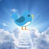 Profilbild von Tweetyblue