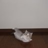 煉 profil fotoğrafı
