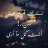 Mohamed Medo's profile picture