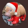 Profilbild von H@ram_H€rbert