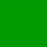 Cami Sanchez's profile picture