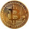 FL Bitcoin Bull profil fotoğrafı